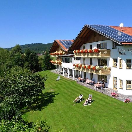 Landhaus Maria Bed&Breakfast Hotel Regen Exterior photo